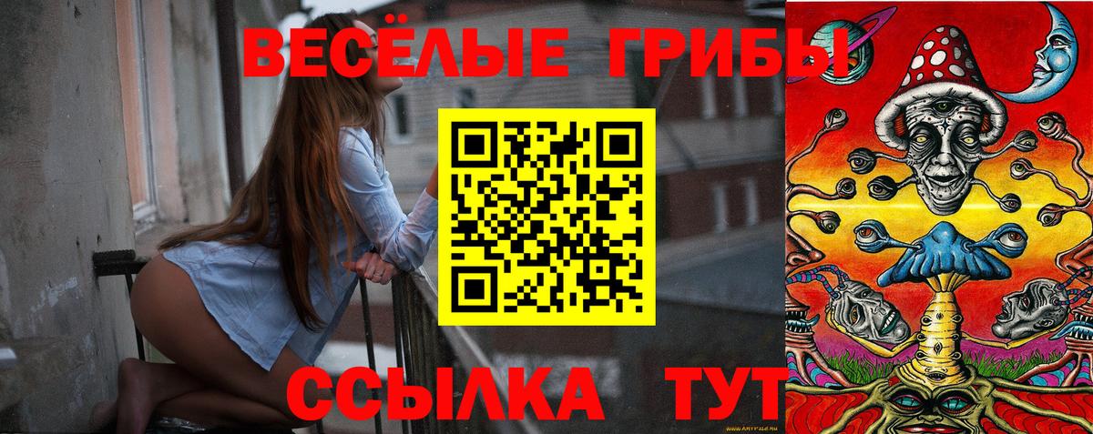Псилоцибиновые грибы Psilocybe Асино